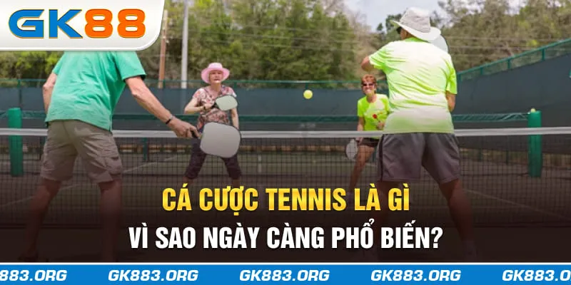 Cá cược tennis là gì, vì sao ngày càng phổ biến?